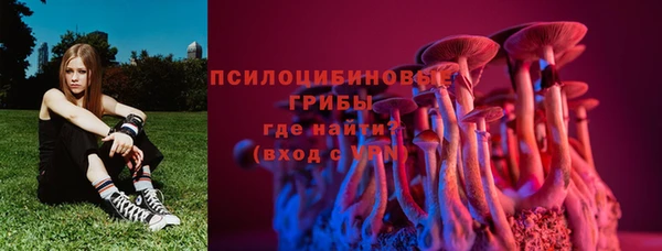 гидропоника Липки