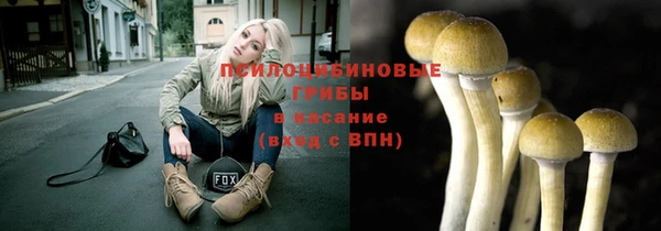 2c-b Абаза