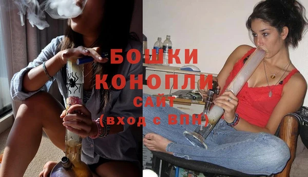 хмурый Лиски