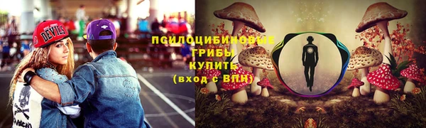 хмурый Лиски