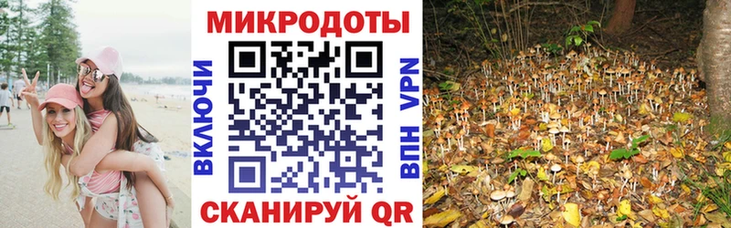 закладка  Янаул  Псилоцибиновые грибы Magic Shrooms 